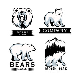 design bear vector templates.