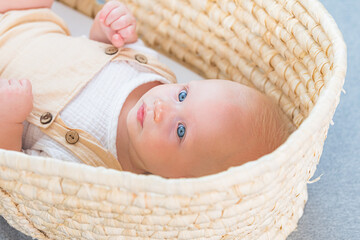 baby in a basket