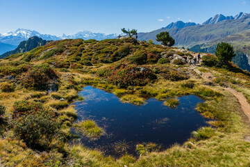 Wandern am Moranenweg auf der Riederalp in der Aletsch Arena im Wallis, Schweiz