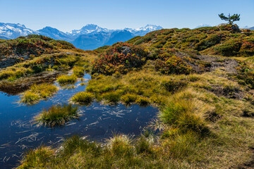 Wandern am Moranenweg auf der Riederalp in der Aletsch Arena im Wallis, Schweiz