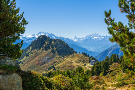 Wandern am Moranenweg auf der Riederalp in der Aletsch Arena im Wallis, Schweiz