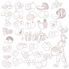 果物　アイコン　手描き　線画　素材　セット
