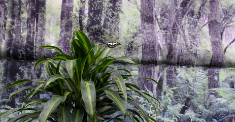 Farfalla in un ambiente inquinato. con spazio per messaggi di comunicazione