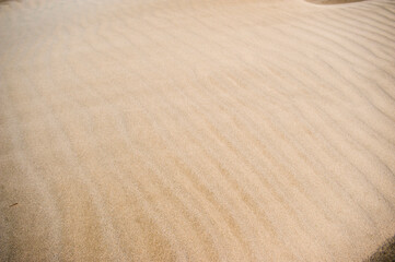 Sand Patterns at Wharariki Beach, Golden Bay, South Island, New Zealand