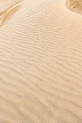 Sand Patterns at Wharariki Beach, Golden Bay, South Island, New Zealand