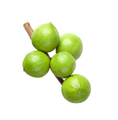 Shelled and unshelled macadamia nuts