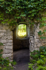 Entrance to ancient dilapidated building, overgrown with creeping wild grapes. View through door to window. Masonry from natural stone. Selective focus.