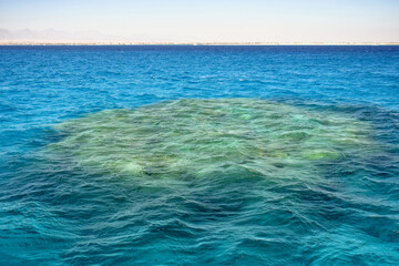 Obraz premium Small island with coral reefs in Red Sea in Egypt. Copy space. Selective focus.