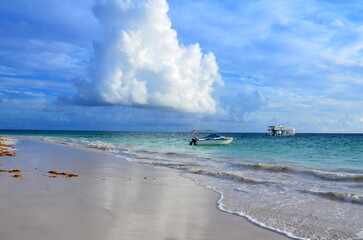 Fototapeta premium beach with sky