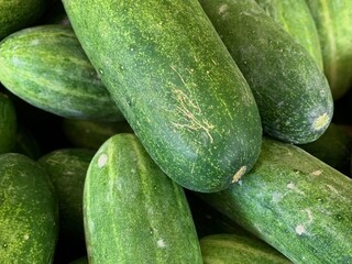 cucumbers in the market