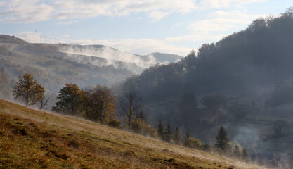 landscape in the morning