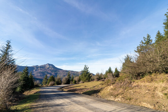 forest road in the gorbea in the north of spain