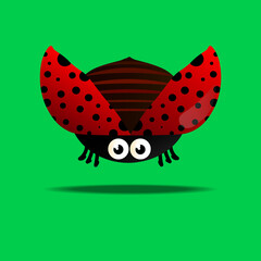 Ladybug flying in the air