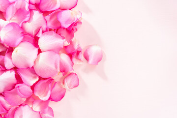 Naklejka na ściany i meble Rose petals