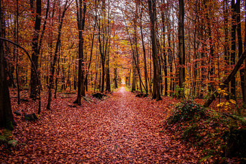 Naklejka premium defaut