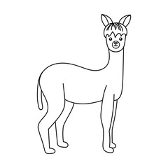 Naklejka premium Alpaca outline vector icon. Thin line black alpaca icon, isolated on white background