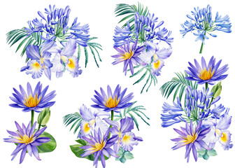 Fototapeta na wymiar Set of tropical flowers, Agapanthus, lotus, orchid, palm leaves, watercolor painting