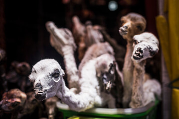 Dried Llama Phoetus, Witches Market (Mercado de Hechiceria or Mercado de las Brujas), La Paz, La Paz Department, Bolivia, South America