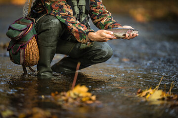 Close-up view of the hands of a fly fisherman holding a lovely trout while  fly fishing on a...