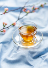 Spring morning breakfast concept with a cup of green tea on the blue bed sheets. Close up