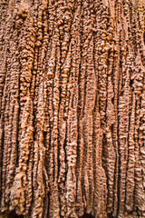 Obraz premium Cave at Moon Valley (Valle de la Luna), Atacama Desert, North Chile, South America