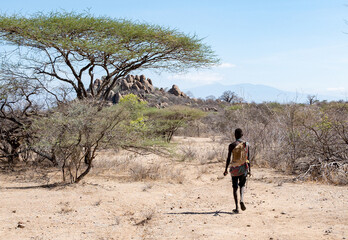 A member of the Hadzabe near Lake Eyasi in Tanzania starting his day with a hunt.  - obrazy, fototapety, plakaty