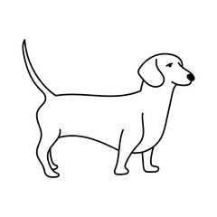 dog line icon vector. isolated contour symbol black illustration