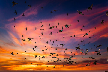 Exploring old town Melbourne Florida by the Indian river