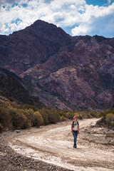 Naklejka na ściany i meble Walking in the Andes Mountains surrounding Uspallata, Mendoza Province, Argentina, South America