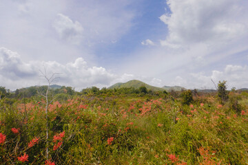 Scenic mountain landscapes against sky at Chyulu Hills, Chyulu Hills National Park, Kenya