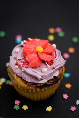 cupcake with icing and sprinkles