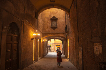 Fototapeta na wymiar Italia, Toscana, la città di Siena.