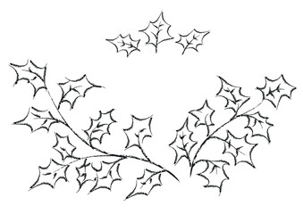 Obraz premium Vector hand-drawn ink and pencil sketch of maple leaves like decorative elements