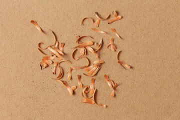 wood shavings after sharpening a pencil