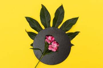 Lilly in a black circle set on a big leaf, flat lay on a yellow background.