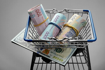 Shopping cart with hryvnia banknotes on a gray glossy background. Under the basket is a hundred dollar bill. Depreciation and purchasing power of the currency. Concept of finance, sales, investment