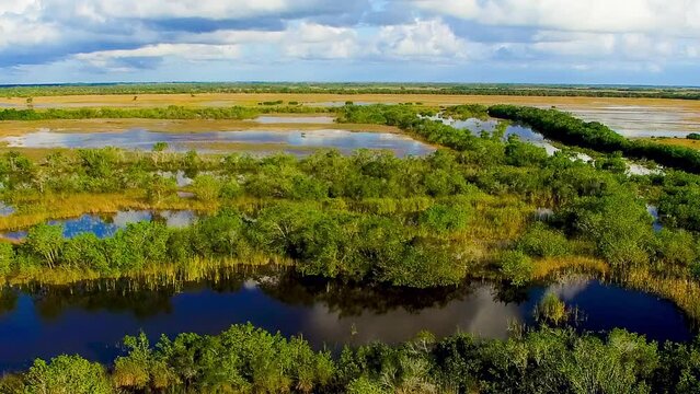 Everglades National Park, Florida. Aerial view of swamp and sky at sunset from drone