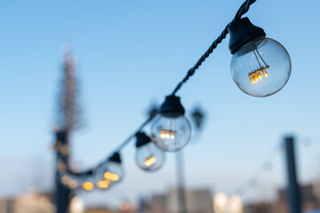 Garland of light bulbs in the park. 