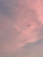 aero plane flying in the light purple sky