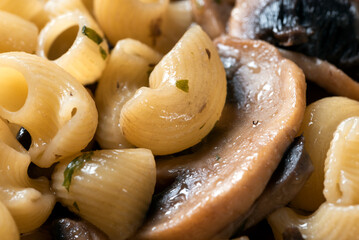 Piatto di pipe rigati con funghi, pasta italiana vegetariana 