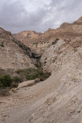 Westbound view of Wadi (Nahal) David reserve, a narrow and deep canyon as seen from Ein Gedi hostel, Ein Gedi National Park and Nature reserve, Judean desert, Dead Sea, Israel.	
