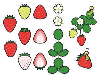 果物イラスト　バラエティセット　いちご