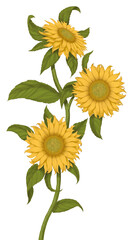 Green plant with yellow flowers