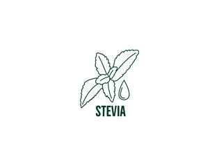Stevia icon line art vector illustration 