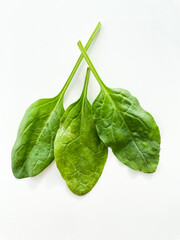 Green leaf of spinach isolated on the white background. Top view. Healthy food for diet. Green food.