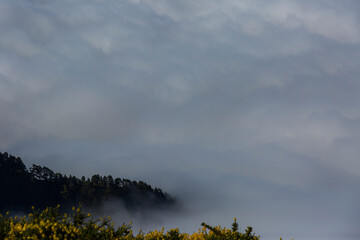 Spring sunset in Caldera De Taburiente Nature Park, La Palma Island, Canary Islands, Spain