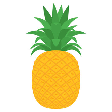 パインアップル Images Browse 1 436 Stock Photos Vectors And Video Adobe Stock