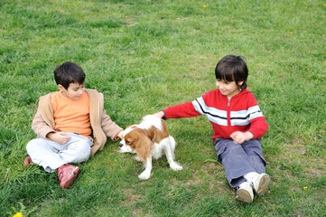 Two Young boys playing with a dog