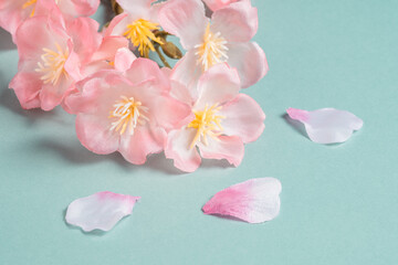 【背景素材】桜の花　 