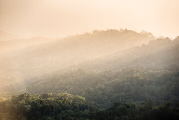 Rainforest at sunrise seen from Bukit Tabur Mountain, Kuala Lumpur, Malaysia, Southeast Asia